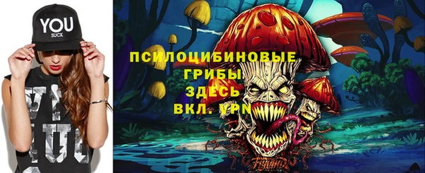 соль курить ск Няндома
